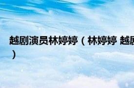 越剧演员林婷婷（林婷婷 越剧王派名家林婷婷相关内容简介介绍）