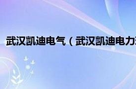 武汉凯迪电气（武汉凯迪电力环保有限公司相关内容简介介绍）