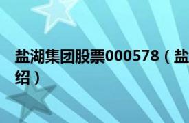 盐湖集团股票000578（盐湖股份[000792]相关内容简介介绍）