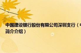 中国建设银行股份有限公司深圳支行（中国建设银行股份有限公司深圳市分行相关内容简介介绍）