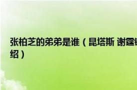 张柏芝的弟弟是谁（昆塔斯 谢霆锋与张柏芝的第二个儿子相关内容简介介绍）