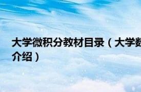 大学微积分教材目录（大学数学系列教材：微积分相关内容简介介绍）