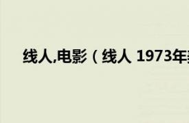 线人,电影（线人 1973年美国电影相关内容简介介绍）