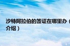 沙特阿拉伯的签证在哪里办（沙特阿拉伯商务签证相关内容简介介绍）