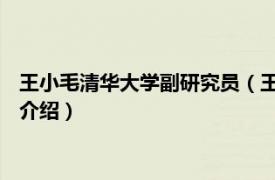 王小毛清华大学副研究员（王小亻毛 清华大学教师相关内容简介介绍）