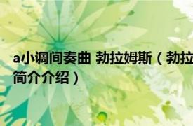 a小调间奏曲 勃拉姆斯（勃拉姆斯《e小调第四交响曲》相关内容简介介绍）