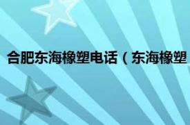 合肥东海橡塑电话（东海橡塑 合肥有限公司相关内容简介介绍）