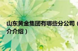 山东黄金集团有哪些分公司（山东黄金集团有限公司相关内容简介介绍）