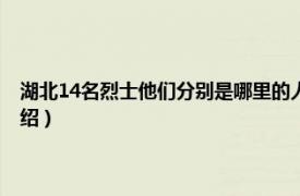 湖北14名烈士他们分别是哪里的人（郭春生 湖北省籍烈士相关内容简介介绍）