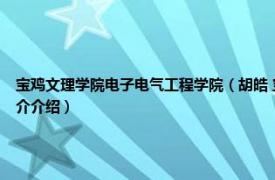 宝鸡文理学院电子电气工程学院（胡皓 宝鸡文理学院电子电气工程系副主任相关内容简介介绍）