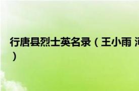 行唐县烈士英名录（王小雨 河北省行唐籍烈士相关内容简介介绍）