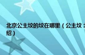 北京公主坟的坟在哪里（公主坟 北京朝阳区草房村公主坟相关内容简介介绍）