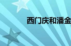 西门庆和潘金莲相关内容介绍