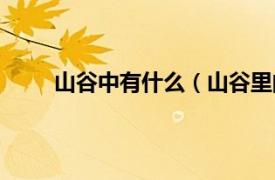 山谷中有什么（山谷里的居民相关内容简介介绍）