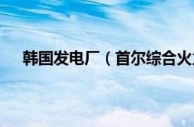 韩国发电厂（首尔综合火力发电站相关内容简介介绍）