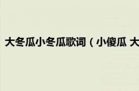 大冬瓜小冬瓜歌词（小傻瓜 大冬演唱的歌曲相关内容简介介绍）