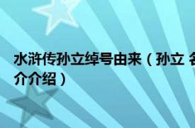 水浒传孙立绰号由来（孙立 名著《水浒传》中的人物相关内容简介介绍）