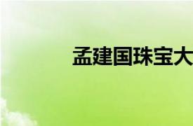 孟建国珠宝大盗相关内容简介