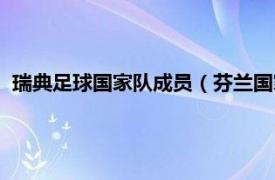 瑞典足球国家队成员（芬兰国家男子足球队相关内容简介介绍）