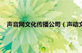 声音网文化传播公司（声动文化传媒公司相关内容简介介绍）