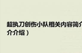 超执刀创伤小队相关内容简介介绍（超执刀创伤小队相关内容简介介绍）