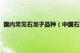 国内常见石龙子品种（中国石龙子台湾亚种相关内容简介介绍）