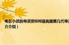 电影小武的导演贾樟柯是我国第几代导演（贾樟柯电影：故乡三部曲之小武相关内容简介介绍）