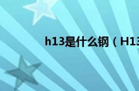 h13是什么钢（H13钢相关内容简介介绍）