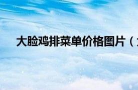 大脸鸡排菜单价格图片（大脸鸡排相关内容简介介绍）