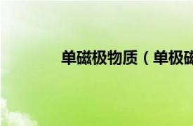 单磁极物质（单极磁体相关内容简介介绍）