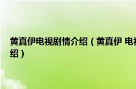 黄真伊电视剧情介绍（黄真伊 电视剧《黄真伊》中的角色相关内容简介介绍）