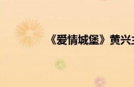 《爱情城堡》黄兴主编书籍相关内容介绍