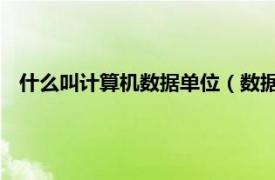 什么叫计算机数据单位（数据 计算机术语相关内容简介介绍）