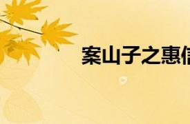 案山子之惠信相关内容介绍