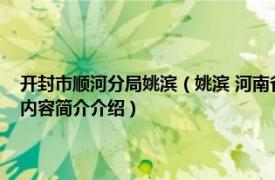 开封市顺河分局姚滨（姚滨 河南省开封市顺河回族区人民政府副区长相关内容简介介绍）