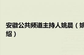 安徽公共频道主持人姚晨（姚程 安徽卫视主持人相关内容简介介绍）