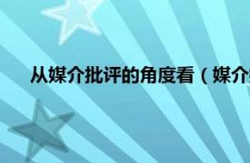 从媒介批评的角度看（媒介批评 第3辑相关内容简介介绍）