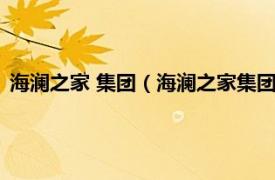 海澜之家 集团（海澜之家集团股份有限公司相关内容简介介绍）