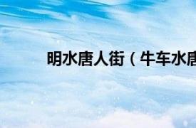 明水唐人街（牛车水唐人街相关内容简介介绍）