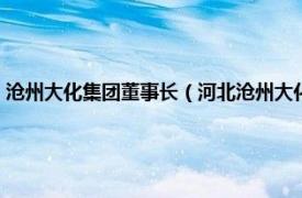 沧州大化集团董事长（河北沧州大化集团有限责任公司相关内容简介介绍）