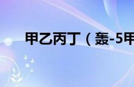 甲乙丙丁（轰-5甲相关内容简介介绍）