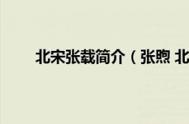 北宋张载简介（张煦 北宋将领相关内容简介介绍）