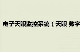 电子天眼监控系统（天眼 数字远程监控系统相关内容简介介绍）