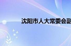 沈阳市人大常委会副主任高介绍了相关内容