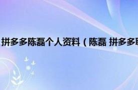 拼多多陈磊个人资料（陈磊 拼多多联合创始人、董事长相关内容简介介绍）