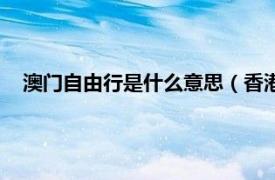 澳门自由行是什么意思（香港澳门自由行相关内容简介介绍）