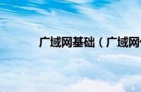 广域网基础（广域网优化相关内容简介介绍）