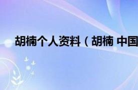 胡楠个人资料（胡楠 中国籍艺术家相关内容简介介绍）