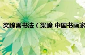 梁峰霄书法（梁峰 中国书画家厦门协会会员相关内容简介介绍）