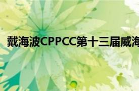 戴海波CPPCC第十三届威海市委常委秘书长相关内容简介